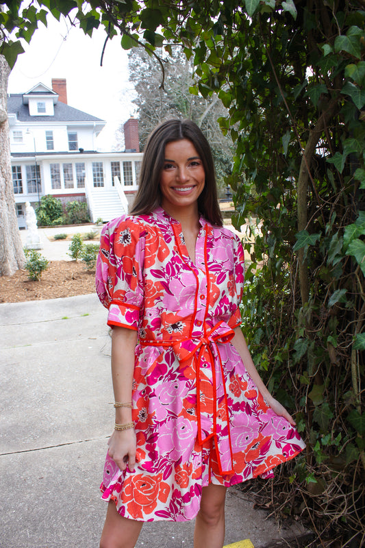 Spring & Swing Dress